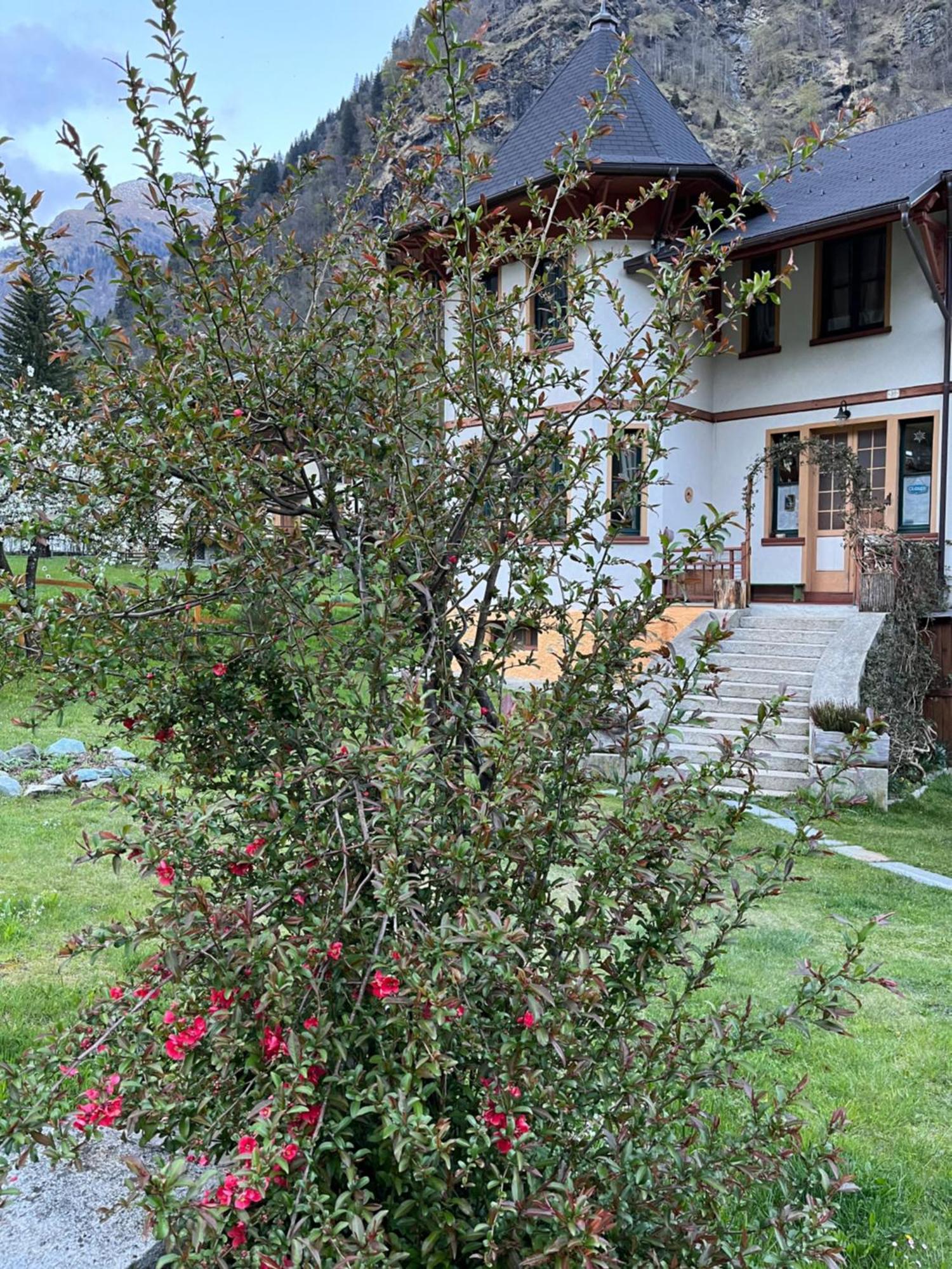 L'Aria Di Casa Bed and Breakfast Alagna Exteriör bild