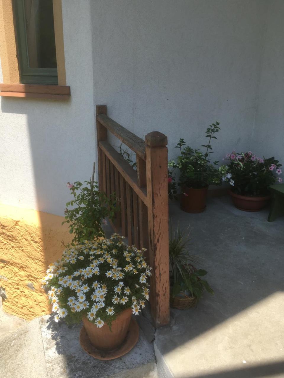 L'Aria Di Casa Bed and Breakfast Alagna Exteriör bild